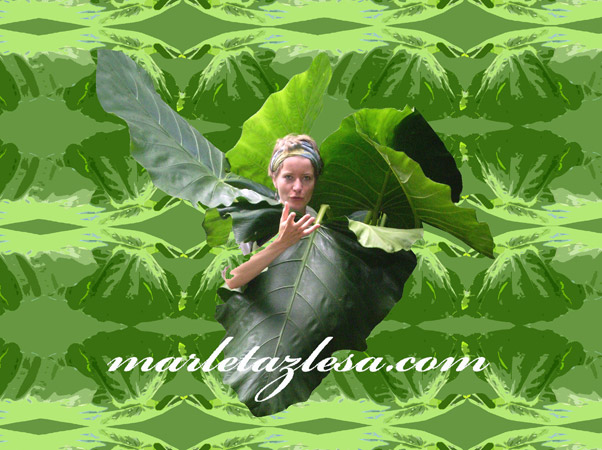 marletazlesa.com marletazlesa.com